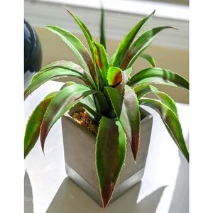 Natural fake succulent plant silver artificial